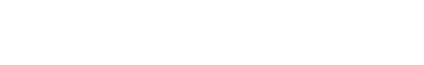 LSW Marketing Logo